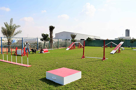 Pet Friendly Places in RAK
