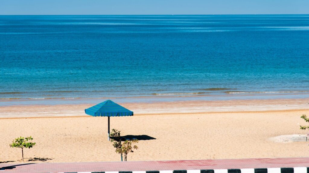 Flamingo Beach Ras Al Khaimah mangroves