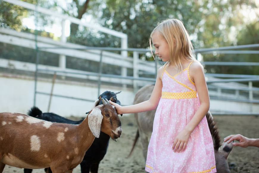 Farm stay in ras al khaimah