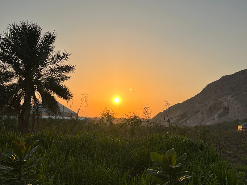 farms in ras al khaimah