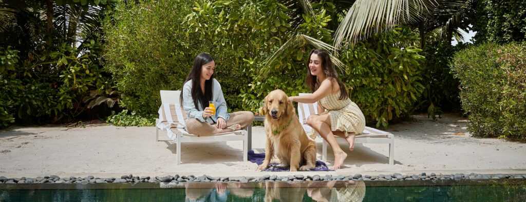 pet friendly resorts in ras al khaimah