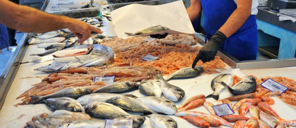 fish market rak, fish markets in rak, fish market in rak, fish market in ras al khaimah