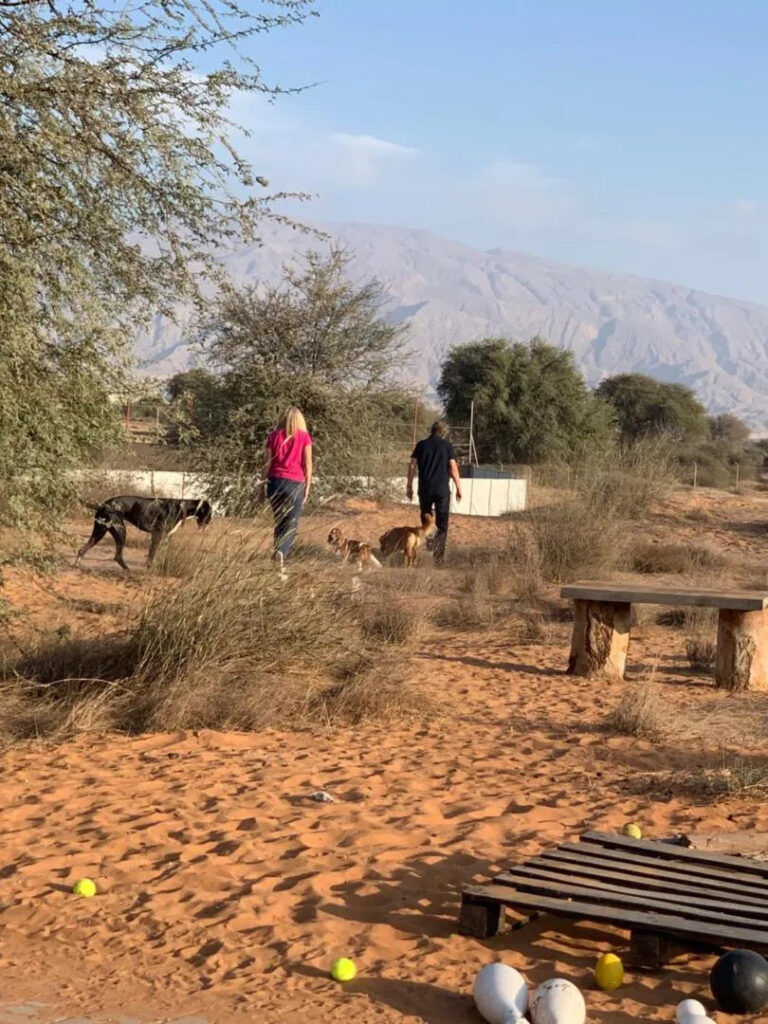 Glamping in RAK
