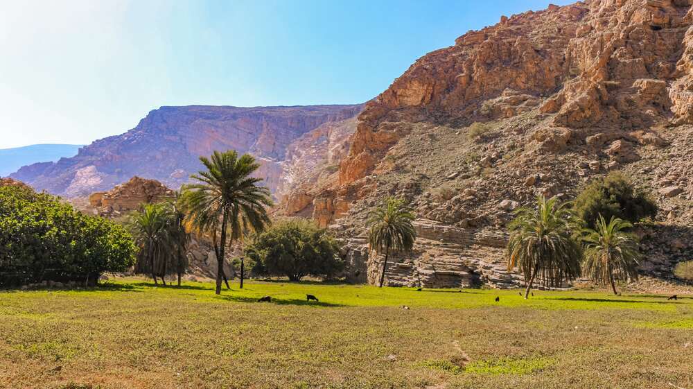 outdoor hiking experience in Ras Al Khaimah