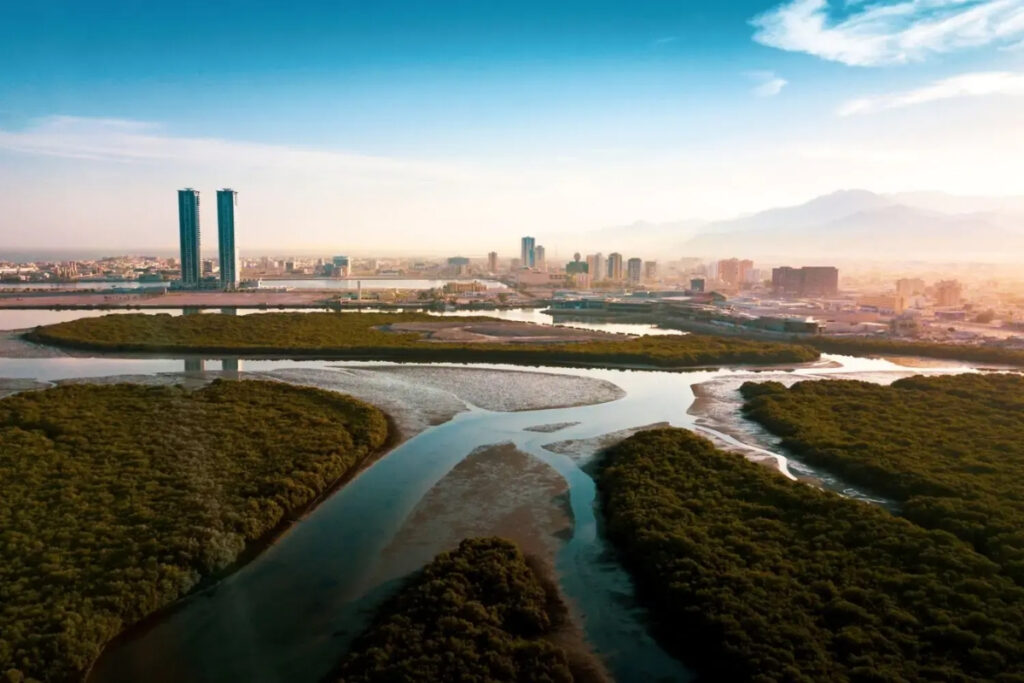 Nature places in Ras Al Khaimah mangrove forests