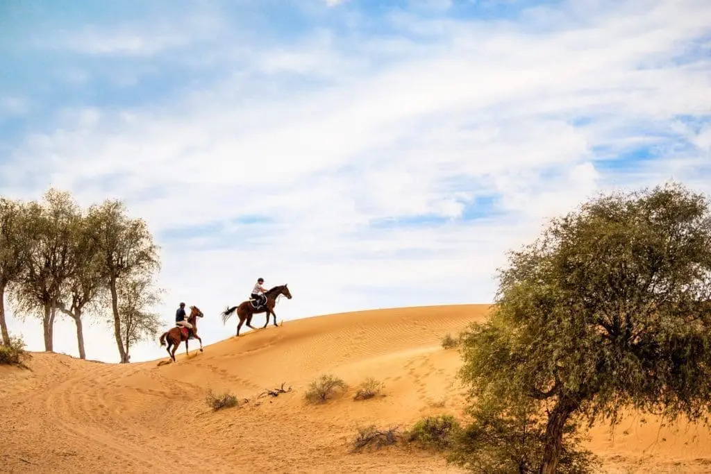 children horse riding at Al Wadi Equestrian Centre Ras Al Khaimah