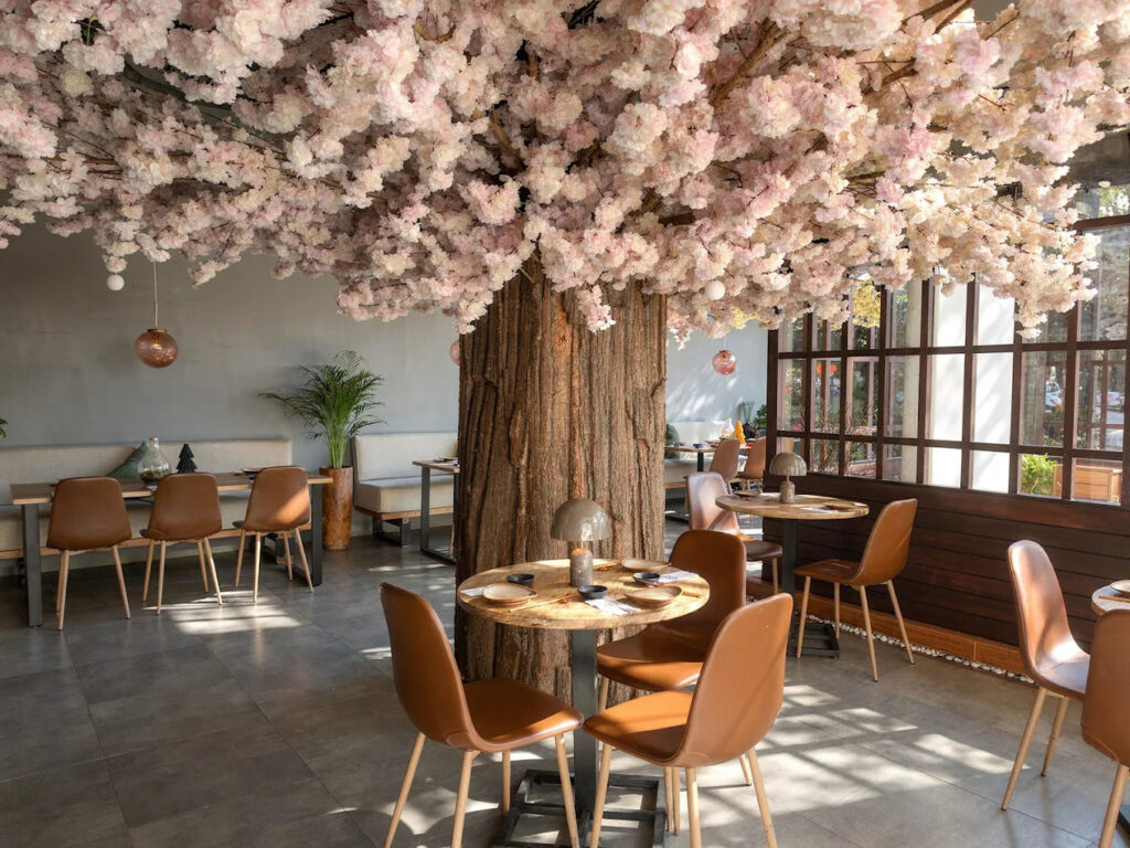 Monto Japanese fusion restaurant in Ras Al Khaimah