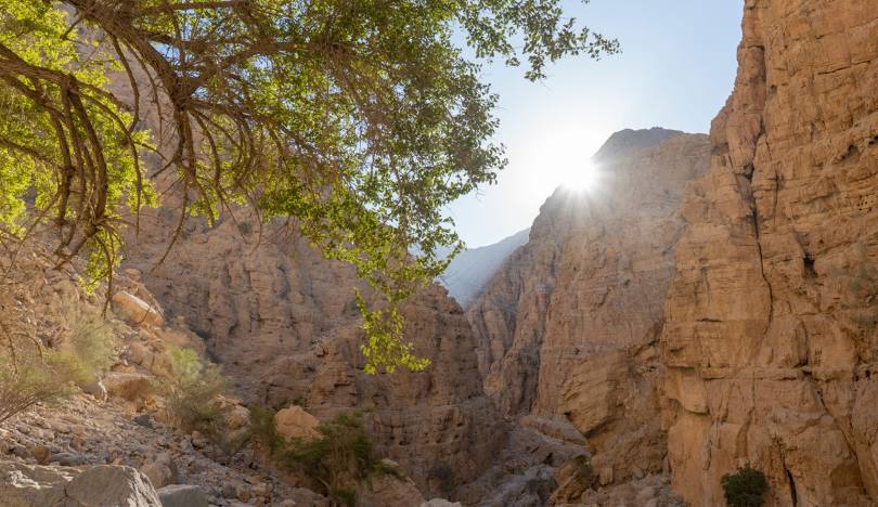 Wadi Naqab red cliffs and canyon