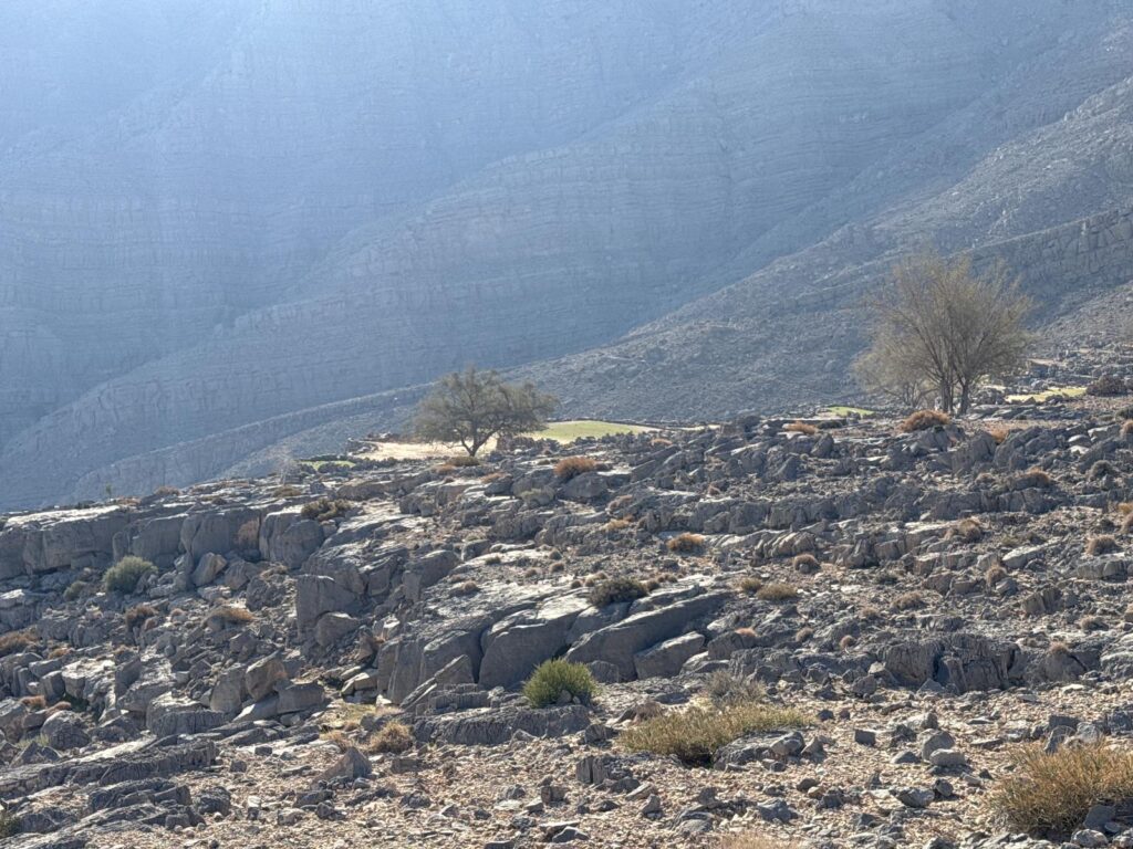Wadi Ghalilah Dam to Salajat Village Trail
