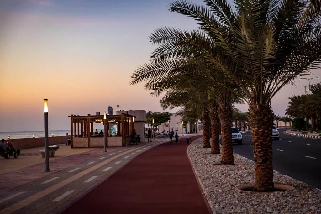 Dog walking along Al Marjan Island Corniche in Ras Al Khaimah