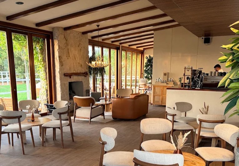 North Cafe in Al Kharan Ras Al Khaimah surrounded by greenery and horses
